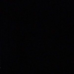 Meet your Posher, Beau